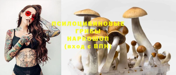шишки Бородино