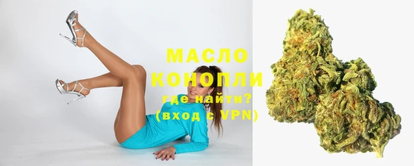 шишки Бородино