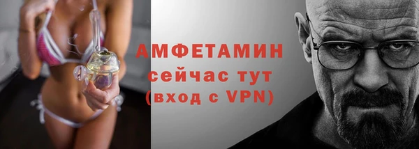 шишки Бородино