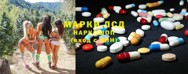 шишки Бородино
