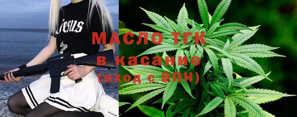 шишки Бородино