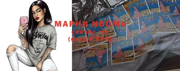 шишки Бородино