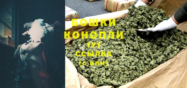 шишки Бронницы