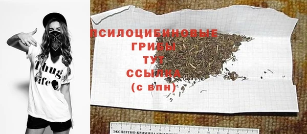 шишки Бородино