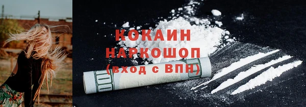 шишки Бронницы
