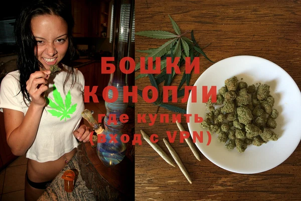 шишки Бородино