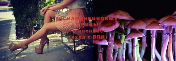 шишки Бронницы