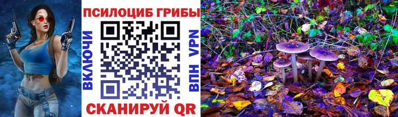 купить наркоту  Выборг  Галлюциногенные грибы ЛСД 