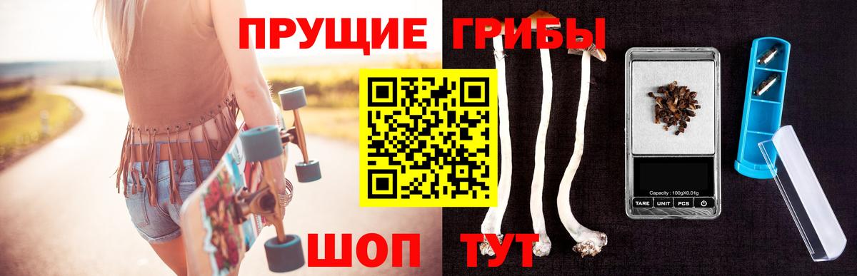 купить закладку  Галлюциногенные грибы Psilocybine cubensis  Вход с VPN  Выборг 